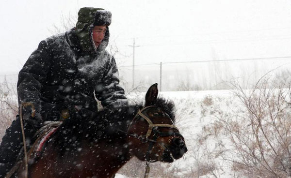 Herdsmen in Altay transfer herds to winter pastures