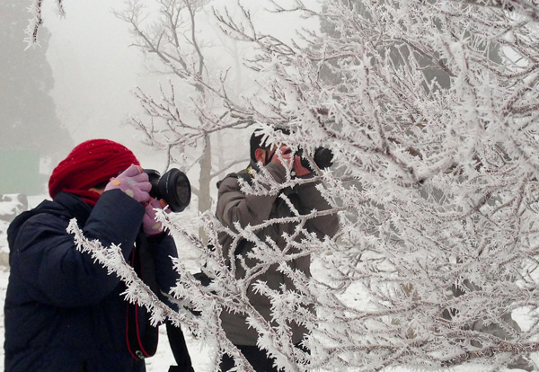 Rime scenery amazes tourists in Tianjin