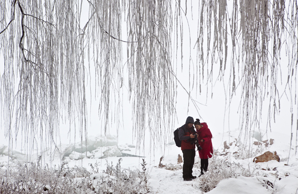 Rime scenery amazes tourists in Tianjin