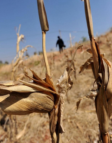 Severe drought hits Southwest China