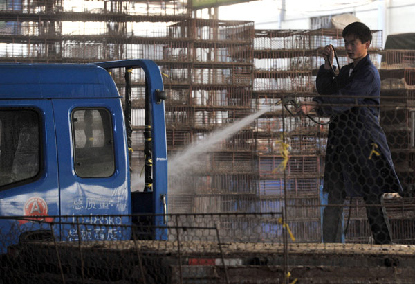 Avian flu quiets song in bird market