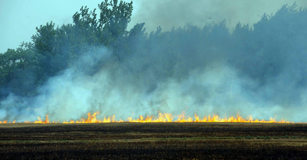 Farmers burn wheat stubble despite ban