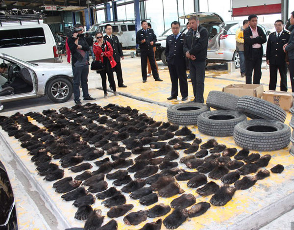China Customs officials confiscate 213 bear paws