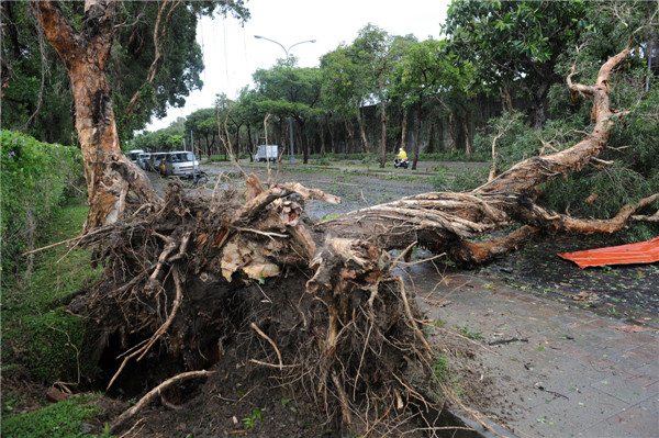 Typhoon Soulik kills 1, injures 21 in Taiwan