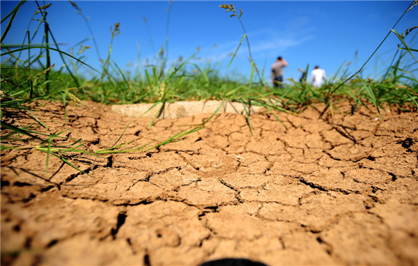 The dry, cracked bottom of a pond after prolonged hot weather in Suizhou city of Hunan province on Aug 7, 2013. Central China province to see extreme heat