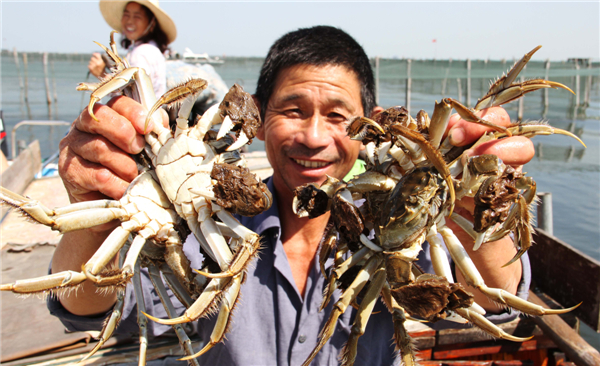 Farmers feel the pinch as demand for crabs plummets