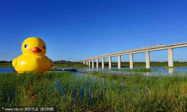 Trials and tribulations of rubber duck