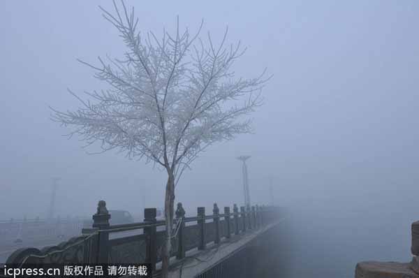 Foggy morning in NW China slows flights