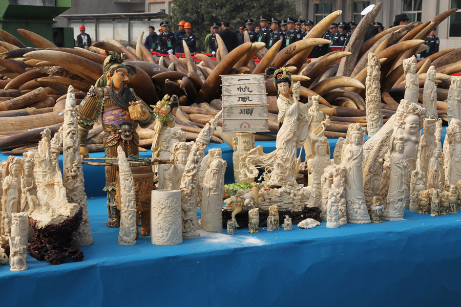 China destroys 6.1 tons of seized ivory