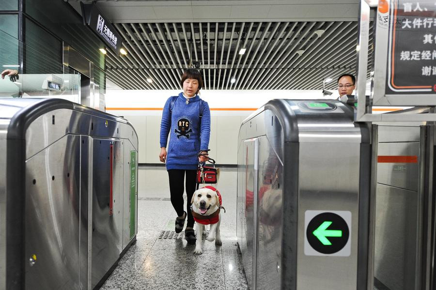 Shanghai gives nod to guide dogs