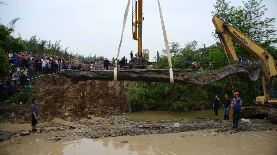 4,000-year-old ebony tree unearthed in E China