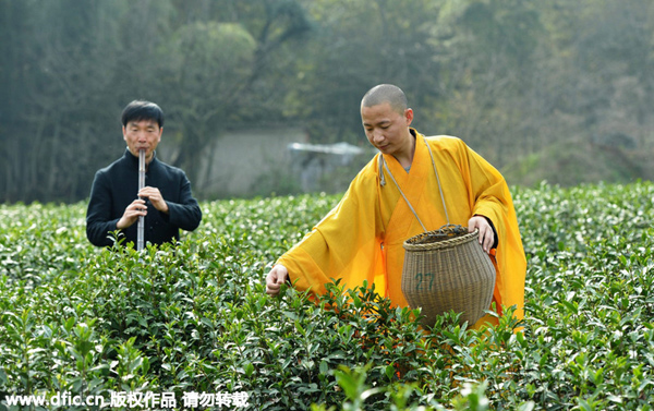 Monks perform tea-picking ritual in Hangzhou