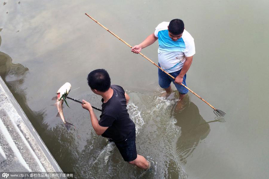 Bonus catch of the day for amateur fishermen