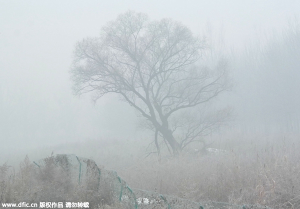 Amid severe smog, Beijing orders halt to production