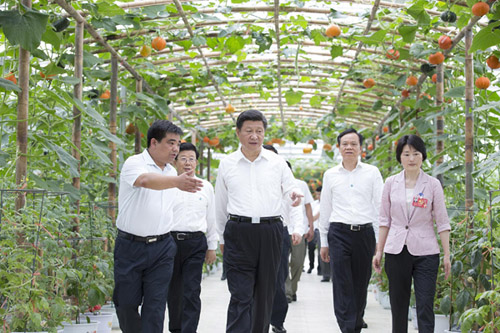 Modern agriculture lifts Guizhou farmers out of poverty