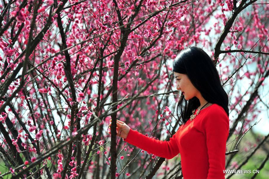Trees blossom across China as temperature rises