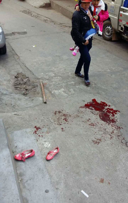 Hainan school attacker wounds 10 students, kills himself