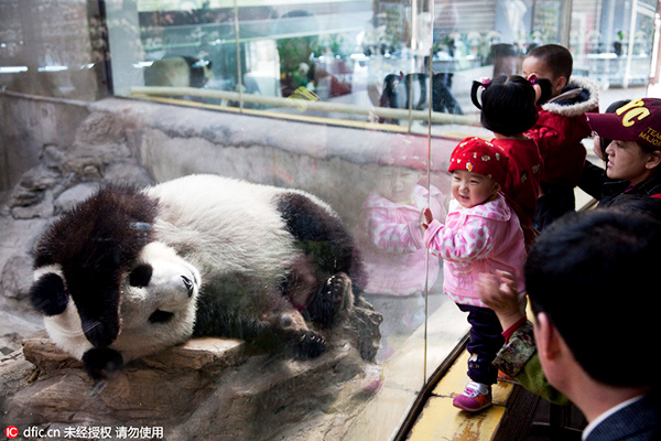 110-year-old Beijing Zoo may partially relocate: Urban planner