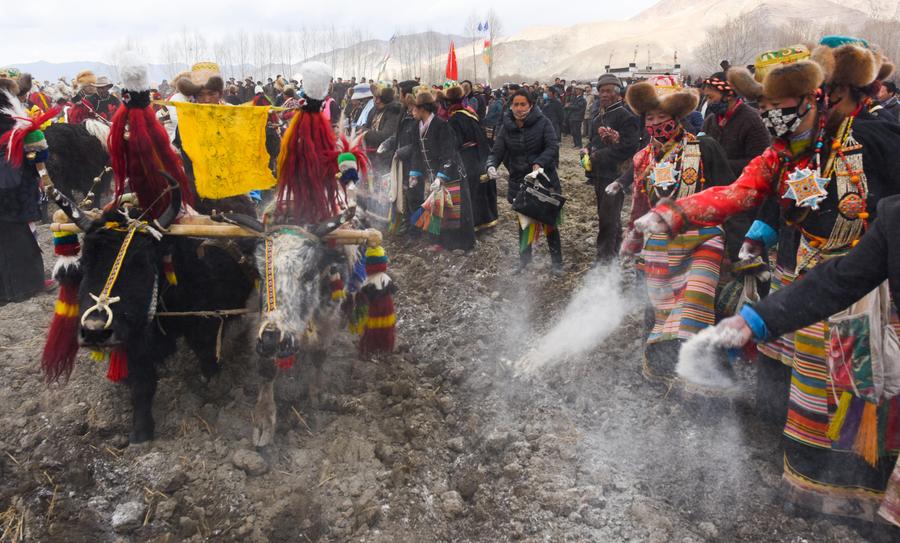 What's spring plowing like on the 'Roof of the World'?