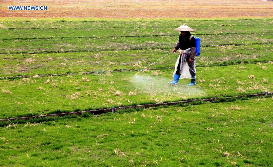 'Chunfen', or Spring Equinox, marked around China