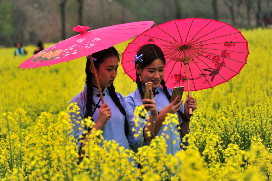 Chasing Spring blossoms in China