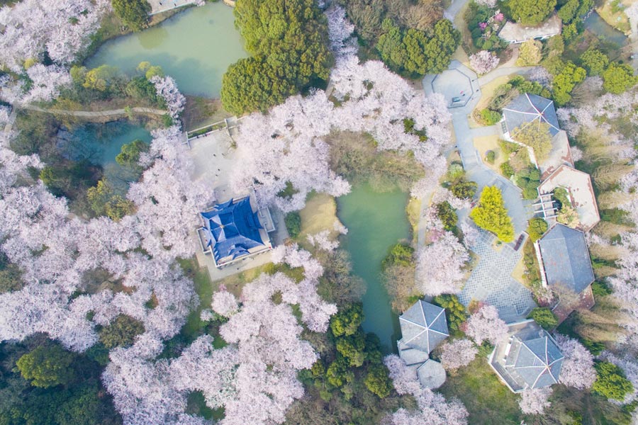 Discover beautiful China in Spring blossom (I)