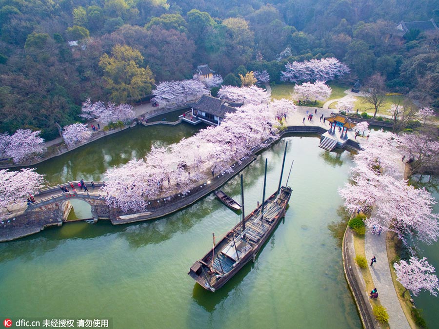 Discover beautiful China in Spring blossom (I)