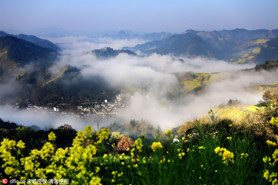 Discover beautiful China in Spring blossom (I)