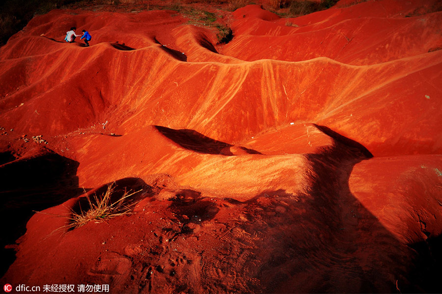 Discover beautiful China in Spring blossom (II)