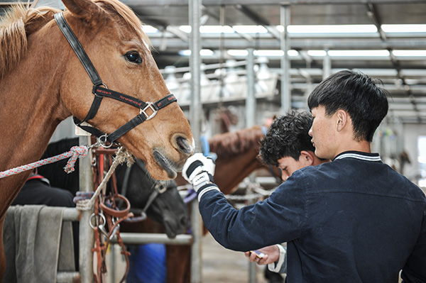 Equestrians gain currency in China