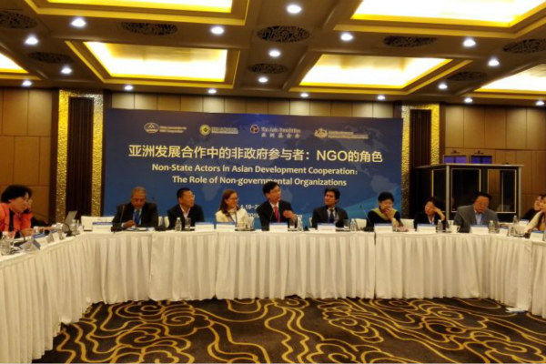 China's NGOs urged to play bigger role on global issues