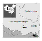 Tibet quake hurts 60, some severely