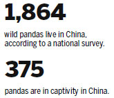 Distemper vaccinations could save giant pandas
