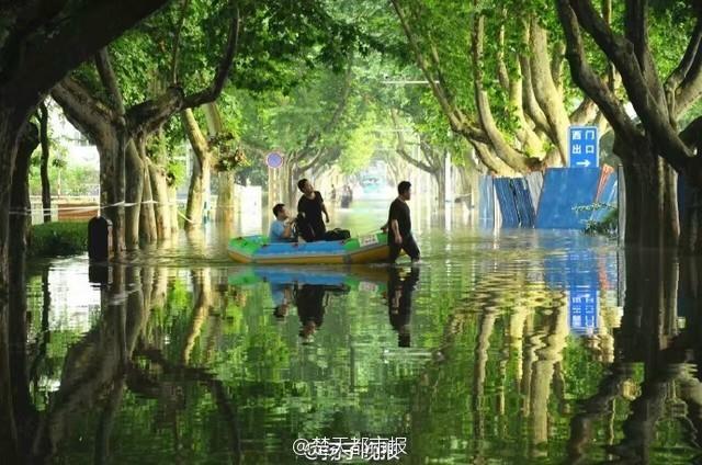 University campus turns into stunning 'wonderland' after rainstorm