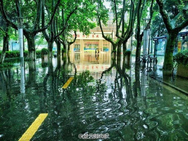 University campus turns into stunning 'wonderland' after rainstorm