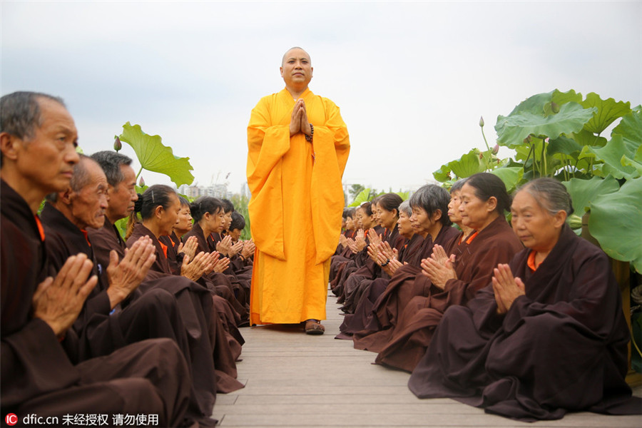 Monks seek tranquility inside lotus ponds