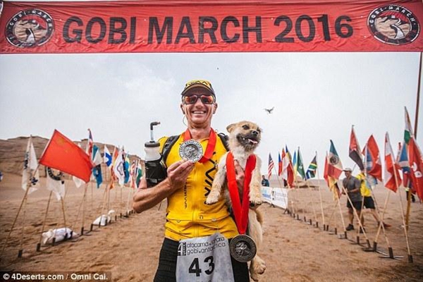 Gobi has been found! Marathon-running stray dog reunites with owner