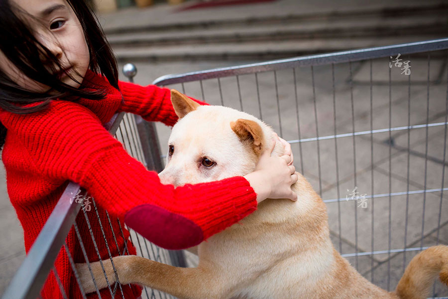 Sue, a dog's best friend