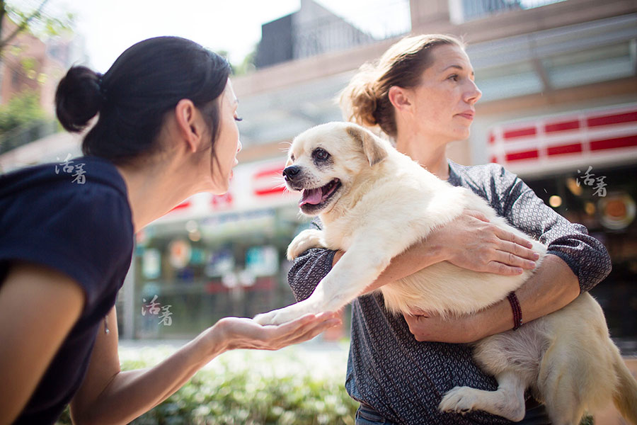 Sue, a dog's best friend