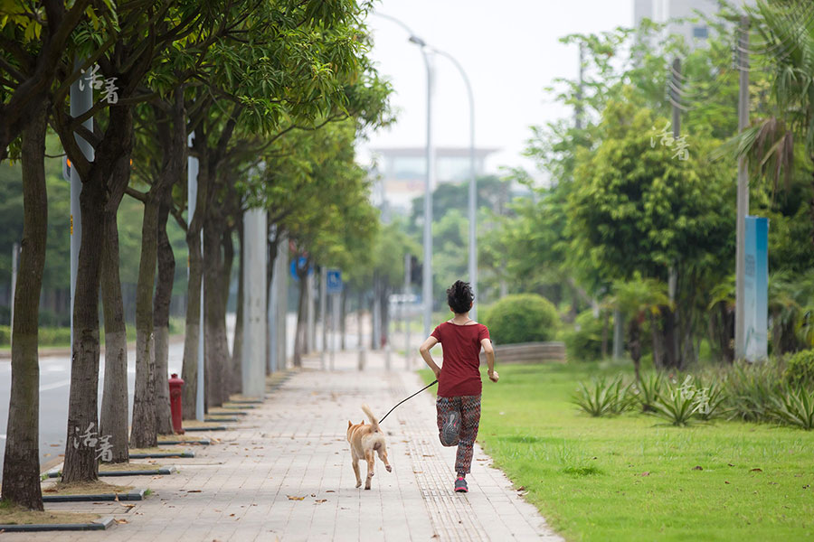 Sue, a dog's best friend