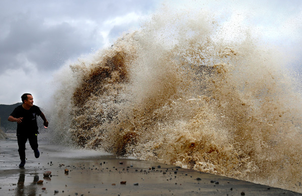 Typhoons leave eastern coastline battered