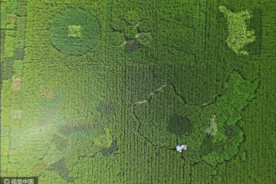 Elderly man creates map of China with colorful rice