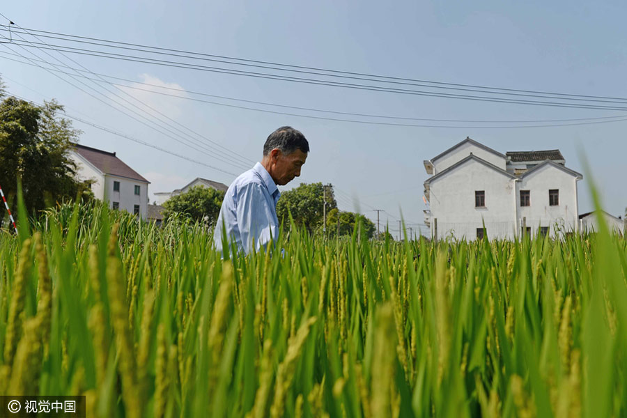 Elderly man creates map of China with colorful rice