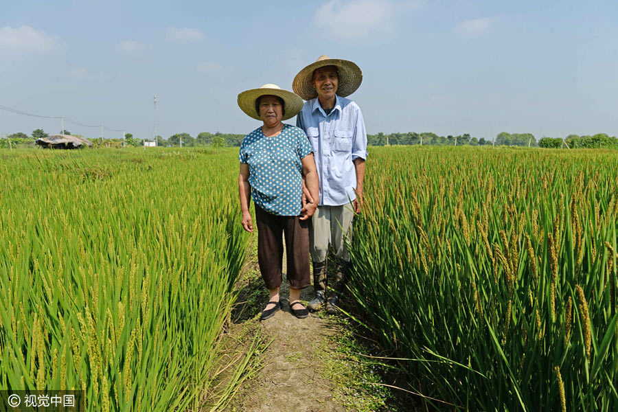 Elderly man creates map of China with colorful rice