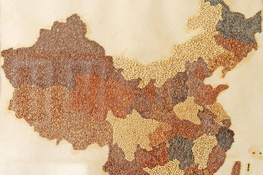 Elderly man creates map of China with colorful rice