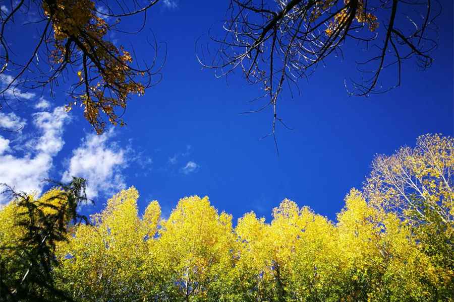 Under the blue sky of Tibet