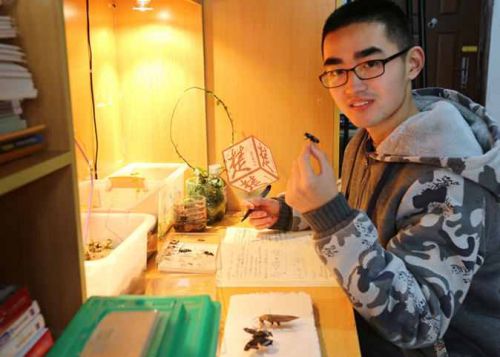 Bug lover turns dorm into insectarium