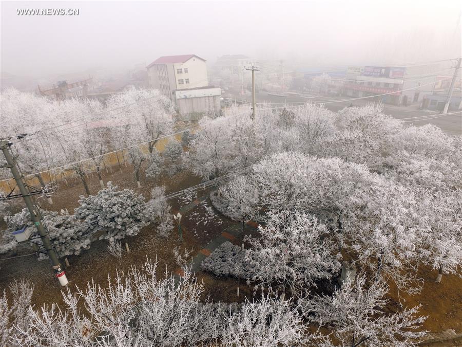 Scenery of rime in North China's Hebei