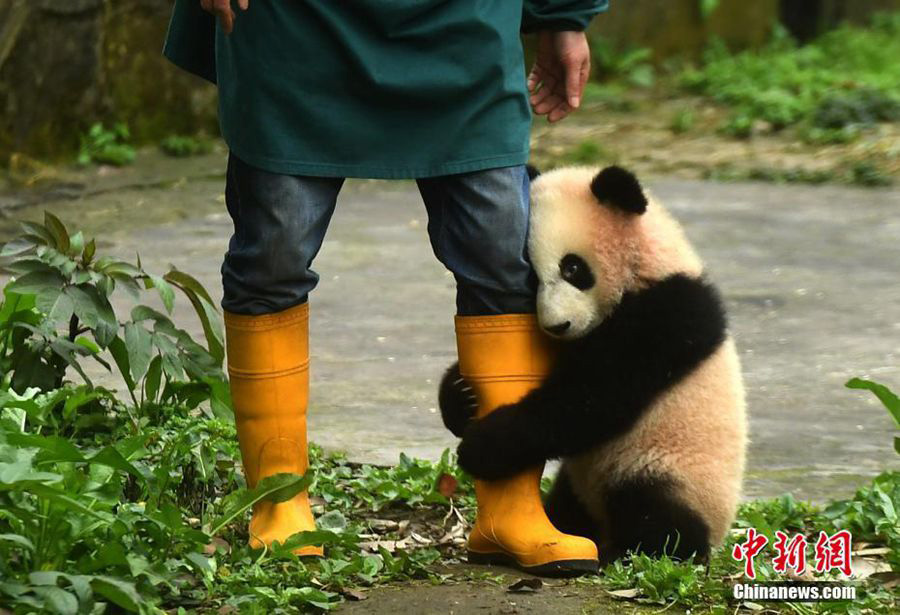 Ten photos from across China: March 17-23
