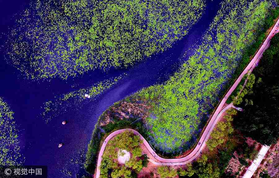 Ten photos from around China: June 2-8